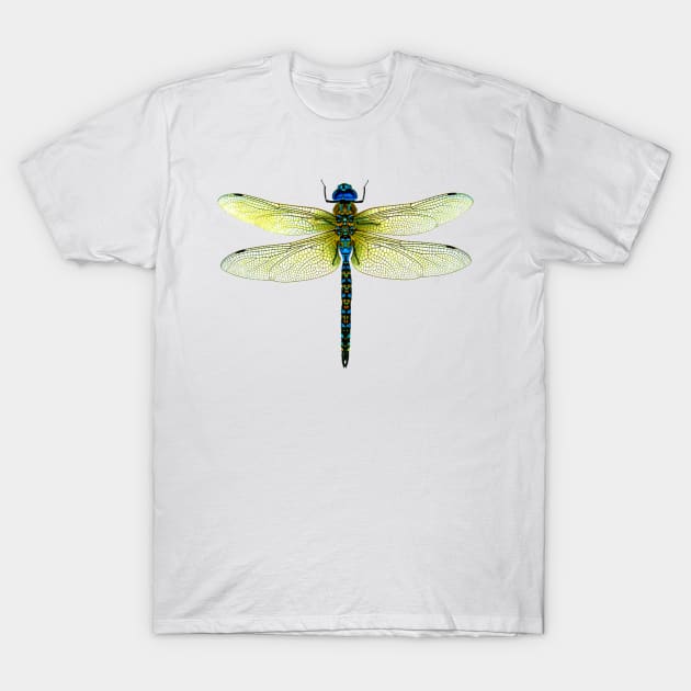 Dragonfly T-Shirt by Like Water